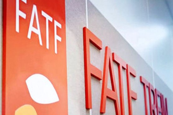 Government will introduce another bill to meet the needs of the FATF