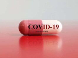 No COVID-19 Deaths Reported from Islamabad, GB, Balochistan and KP Yesterday No COVID-19 Deaths Reported from Islamabad, GB, Balochistan and KP Yesterday