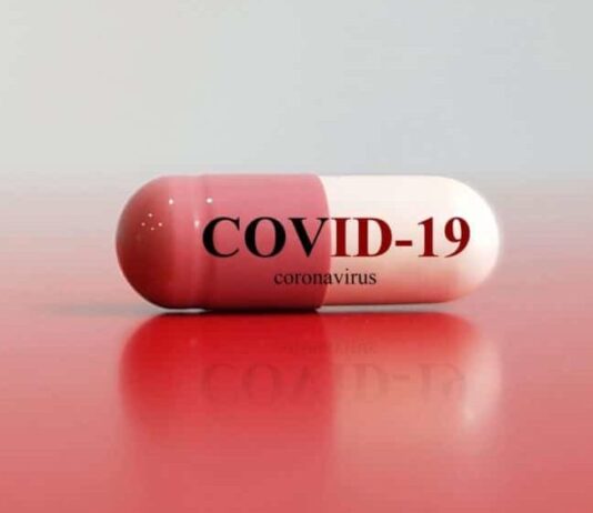 No COVID-19 Deaths Reported from Islamabad, GB, Balochistan and KP Yesterday No COVID-19 Deaths Reported from Islamabad, GB, Balochistan and KP Yesterday