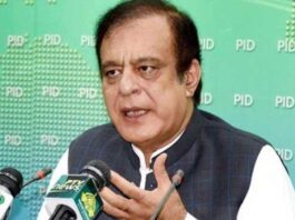 Oppressors are celebrating independence by depriving Kashmiris of their freedom: Shibli Faraz Oppressors are celebrating independence by depriving Kashmiris of their freedom: Shibli Faraz