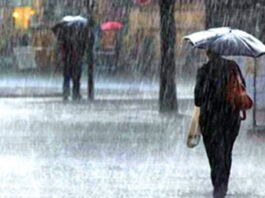 Meteorological Department has forecast heavy rains from Wednesday to Friday Meteorological Department has forecast heavy rains from Wednesday to Friday