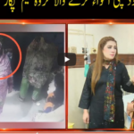 Pukaar with Anila Zaka 22nd August 2020 Pukaar with Anila Zaka 22nd August 2020