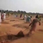 People of Khyber uprooted the trees planted during the government’s tree-planting campaign People of Khyber uprooted the trees planted during the government's tree-planting campaign