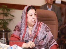 Yasmeen Rashid directed authorities to ensure the extermination of the dengue larvae Yasmeen Rashid directed authorities to ensure the extermination of the dengue larvae