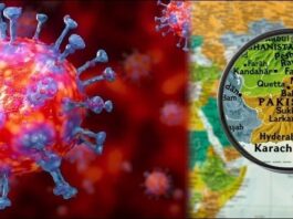 In Sindh, 278 new cases of corona virus, five deaths have been reported In Sindh, 278 new cases of corona virus, five deaths have been reported