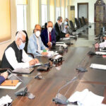 The government will take steps to make wheat and flour available every year: Hafeez Sheikh The government will take steps to make wheat and flour available every year: Hafeez Sheikh