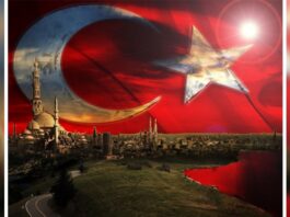 Turkey offers Lebanon to build Beirut port and destroyed buildings Turkey offers Lebanon to build Beirut port and destroyed buildings