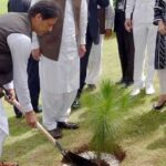 Prime Minister will launch the biggest tree planting campaign from today Prime Minister will launch the biggest tree planting campaign from today