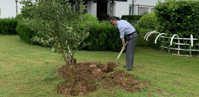 Foreign ambassadors took part in the Prime Minister's tree-planting campaign