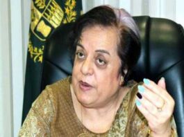 Modi’s fascist government kept Nazi philosophy alive: Mazari Modi's fascist government kept Nazi philosophy alive: Mazari