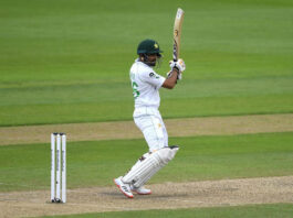 Everyone is A Fan of Babar Azam, Even Cats! Babar Azam