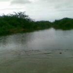 Two People Were Rescued After Falling Into The Hub River Hub River