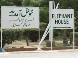 Karachi Zoo Reopens After Lockdown Karachi Zoo