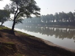 A Man Drowned in The Mara Ravi Canal in Narowal Mara Ravi Canal