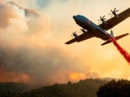 Forest fires in California: Governor Seeks Australian Help WildFires in California