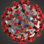 It is impossible to achieve herd immunity against COVID-19: Health Expert It is impossible to achieve herd immunity against COVID-19: Health Expert