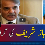 Report Card 28th September 2020 Report Card 28th September 2020