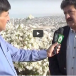 Rubaroo 12th September 2020 Rubaroo 12th September 2020