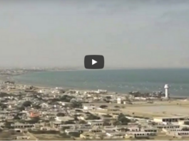 Rubaroo 13th September 2020 Rubaroo 13th September 2020