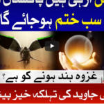 Tajzia with Sami Ibrahim 23rd October 2020 Tajzia with Sami Ibrahim 23rd October 2020