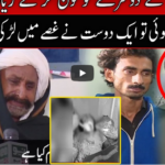 Pukaar with Anila Zaka 28th November 2020 Pukaar with Anila Zaka 28th November 2020