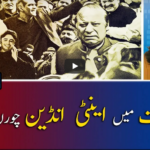Report Card 11th November 2020 Report Card 11th November 2020