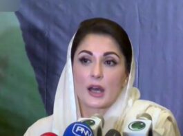 Government wants NRO from Pakistan: Maryam Nawaz Government wants NRO from Pakistan: Maryam Nawaz