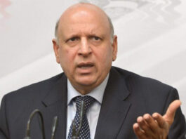 Prime Minister Khan Is A Determined Leader : Governor Punjab