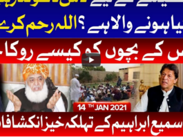 Tajzia with Sami Ibrahim 14th January 2021 Tajzia with Sami Ibrahim 14th January 2021