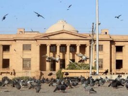 Court Directs Sindh Government For Immediate Promotion Of Lectures Court Directs Sindh Government For Immediate Promotion Of Lectures