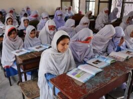 Ministry of Education Set Up A Committee To Monitor Curriculum Standards Ministry of Education Set Up A Committee To Monitor Curriculum Standards