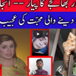 Pukaar with Anila Zaka 20th February 2021 Pukaar with Anila Zaka 20th February 2021
