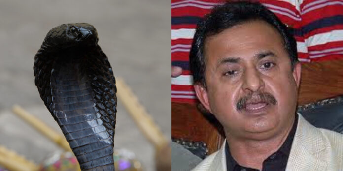 A Poisonous Snake Appeared In Haleem Adil Sheikh's Room