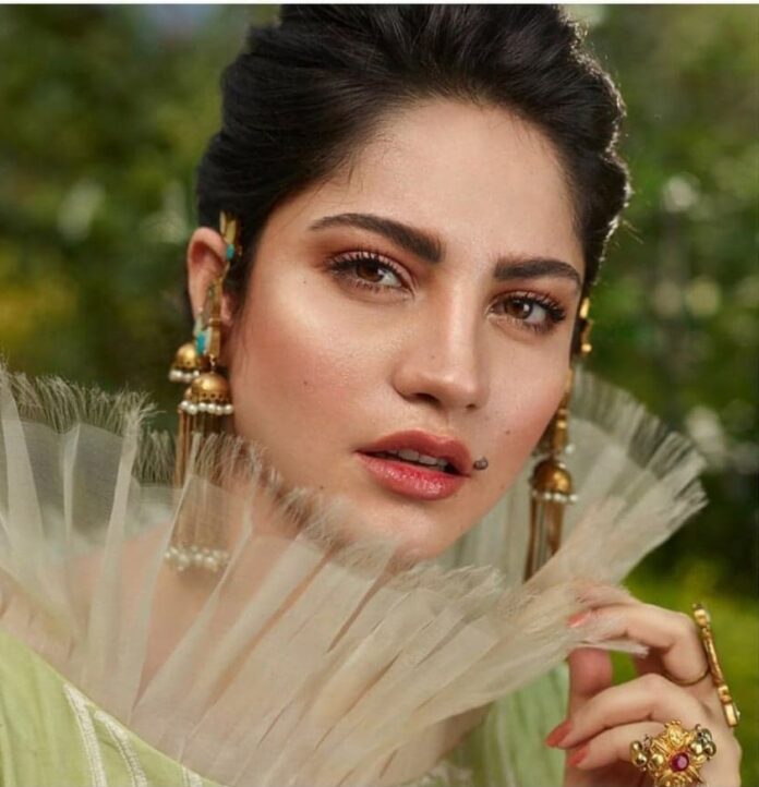 Neelam Munir shares New Stunning Pictures On Social Media