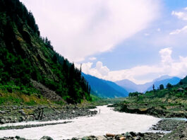 Pakistan Will Host World Environment Day 2021 Pakistan Will Host World Environment Day 2021