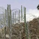 Pakistan And India Agree To Restore 2003 Ceasefire Agreement: DG ISPR Pakistan And India Agree To Restore 2003 Ceasefire Agreement: DG ISPR