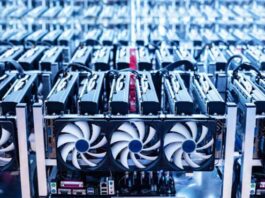 KP Plans To Establish Pilot Cryptocurrency Mining Farms KP Plans To Establish Pilot Cryptocurrency Mining Farms