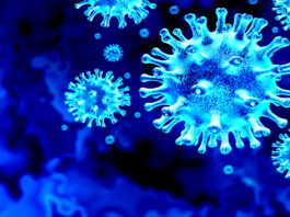 Two Educational Institutions In Islamabad Sealed After Corona Virus Cases Two Educational Institutions In Islamabad Sealed After Corona Virus Cases