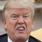 Trump Decides To Return To Social Media From His Own Platform Trump Decides To Return To Social Media From His Own Platform