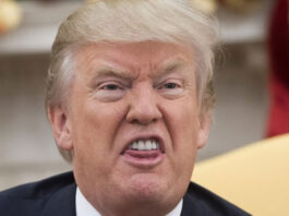 Trump Decides To Return To Social Media From His Own Platform Trump Decides To Return To Social Media From His Own Platform