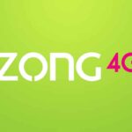 Zong Celebrated Women’s Day With Great Enthusiasm Zong Celebrated Women's Day With Great Enthusiasm