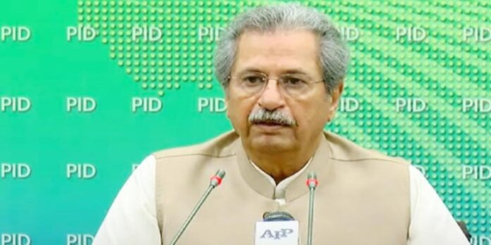 Damage To One's Country And Property Falls Into Category of Hostility: Shafqat Mehmood