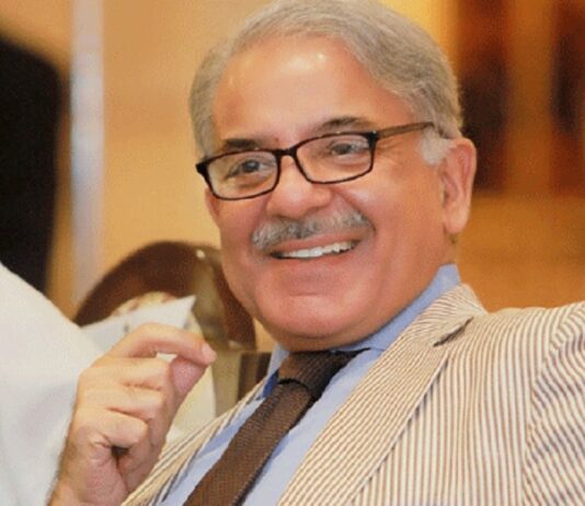 The PML-N urges to form a joint opposition committee to block the formation of the PMDA. The PML-N urges to form a joint opposition committee to block the formation of the PMDA.