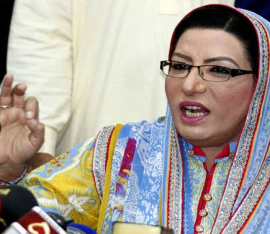 Firdous Ashiq Awan Barred From Entering Punjab Assembly Firdous Ashiq Awan Barred From Entering Punjab Assembly