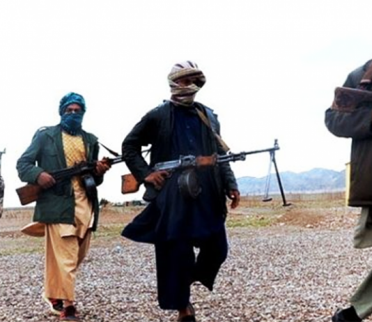 Taliban Source Claims That They Have Took Over Panj Sher