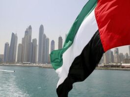 Former US intelligence Person admits to hacking US network for UAE Former US intelligence Person admits to hacking US network for UAE