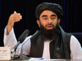We are grateful to Pakistan for its cooperation with Afghanistan: Taliban Minister We are grateful to Pakistan for its cooperation with Afghanistan: Taliban Minister