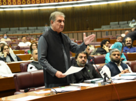 Entire nation and all political parties agree on national defense: Shah Mehmood Qureshi Entire nation and all political parties agree on national defense: Shah Mehmood Qureshi