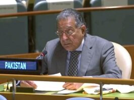 UN should take steps to eradicate Indian colonies on Kashmir: Pakistan UN should take steps to eradicate Indian colonies on Kashmir: Pakistan