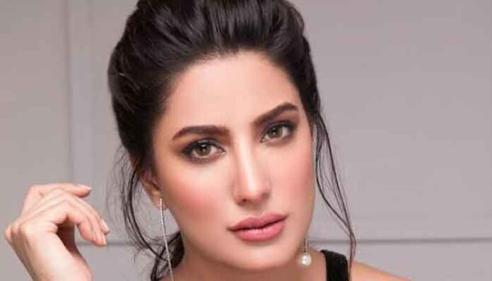 I love Jennifer Lopez: Mehwish Hayat